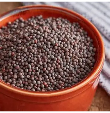 Fresh Brown Mustard Seeds