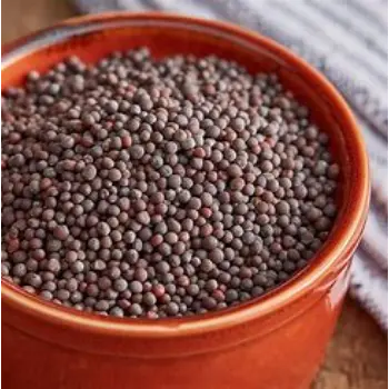 Brown Mustard Seeds