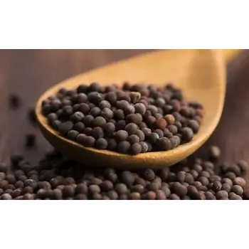 Brown Mustard Seeds