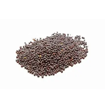 Natural Brown Mustard Seeds