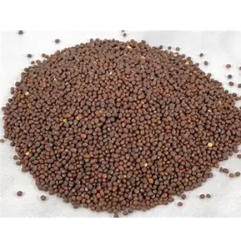 Fresh Brown Mustard Seeds