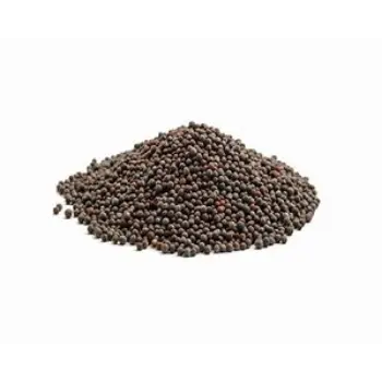 Brown Mustard Seeds