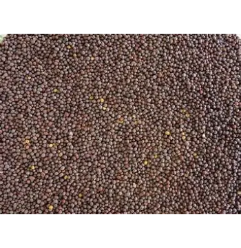 Natural Brown Mustard Seeds
