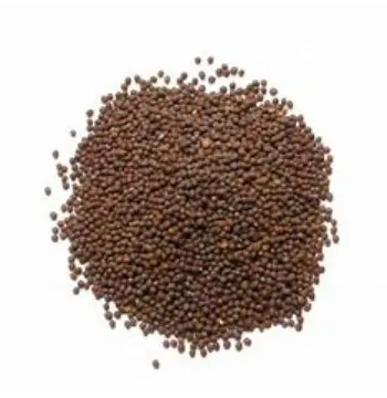Natural Brown Mustard Seeds