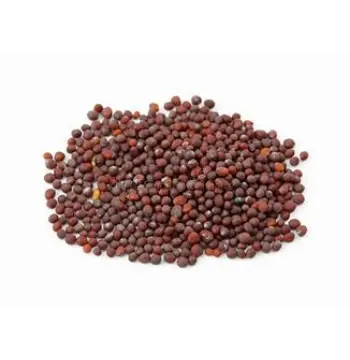 Fresh Brown Mustard Seeds