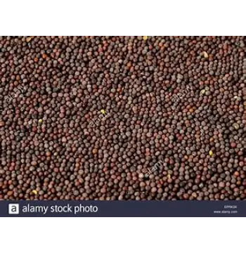Fresh Brown Mustard Seeds