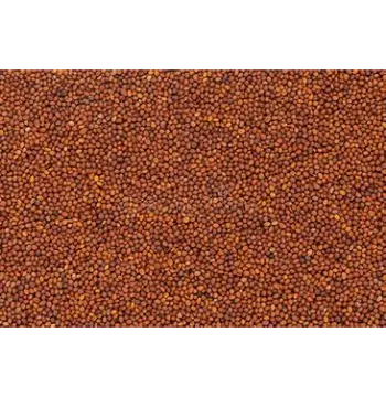 Organic Brown Mustard Seeds
