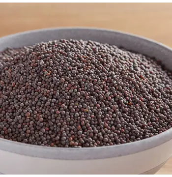 Fresh Brown Mustard Seeds