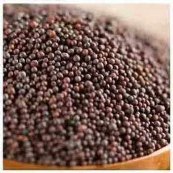 Fresh Brown Mustard Seeds