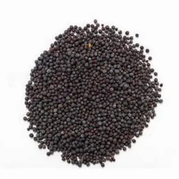 Fresh Brown Mustard Seeds