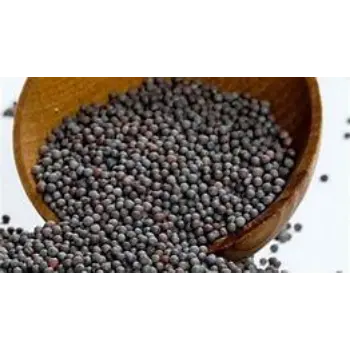 Brown Mustard Seeds