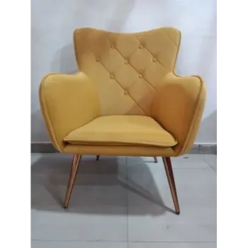 Modern Butterfly Chair