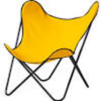 Attractive Designs Butterfly Chair