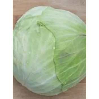 Cabbage