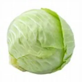Natural Cabbage