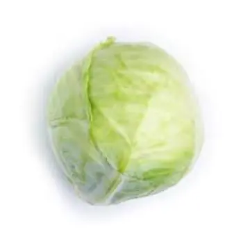Natural Fresh Cabbage