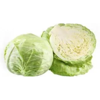 Natural Fresh Cabbage 