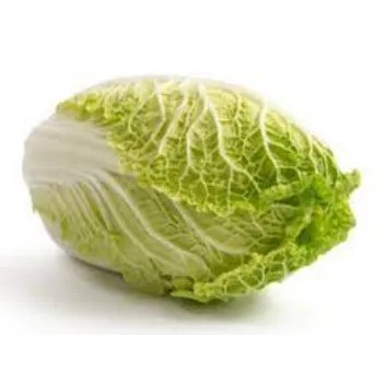 Common Fresh Cabbage