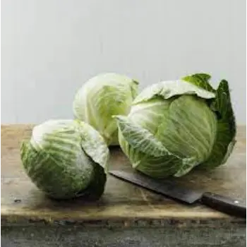 Natural Fresh Cabbage