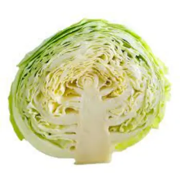 Common Fresh Cabbage