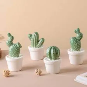 Common Cactus Plant