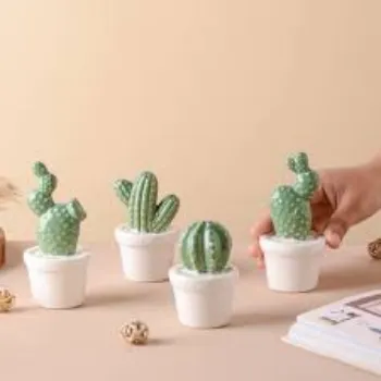 RAJESWARI NURSERY Cactus Plants