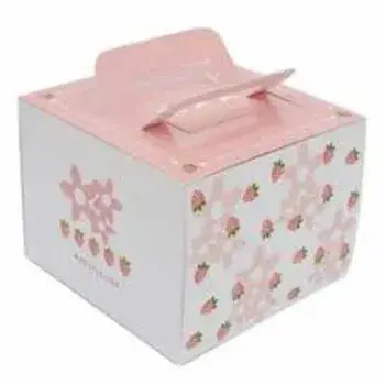 New Condition Cake Box