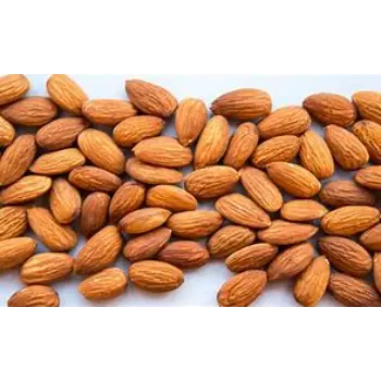 Watermelon Kernel Wholesale Price
