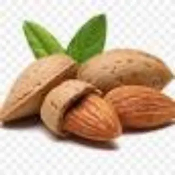 Common California Almonds