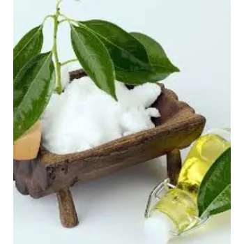 Camphor Powder Manufacturer