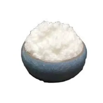 Camphor Powder Supplier