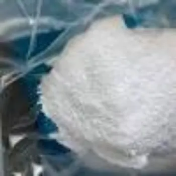 Shree Ram Products Pvt Ltd Camphor Powder