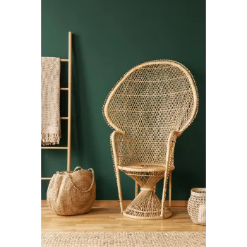 Modern Cane Chair