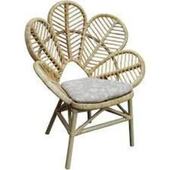 Designer Cane Chair