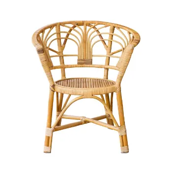 Designer Cane Chair