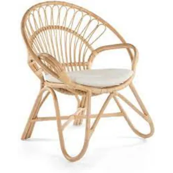 Modern Cane Chair