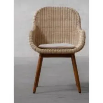 Modern Cane Chair