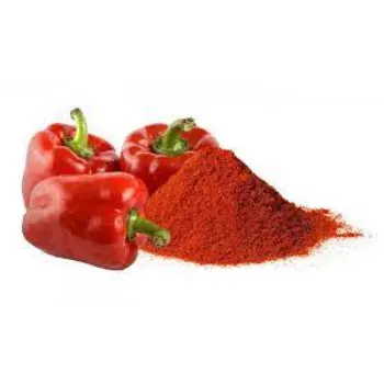 Fresh Capsicum Powder