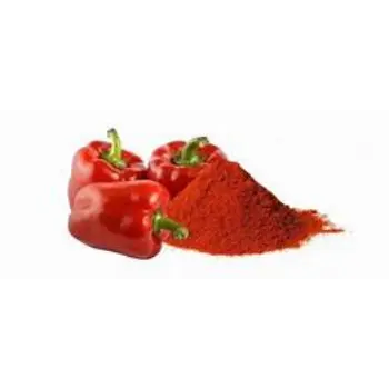Fresh Capsicum Powder