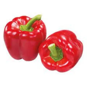 Organic Red Capsicum