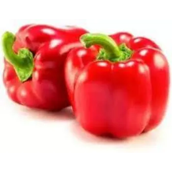 Common Red Capsicum