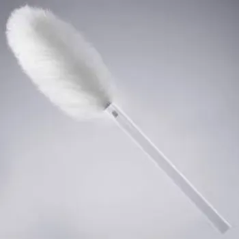 Ami Car Duster