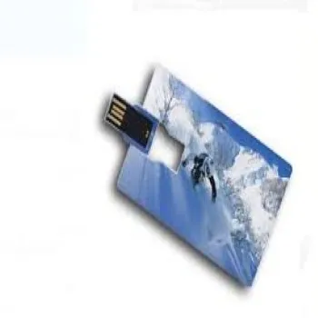 Card Pen Drive