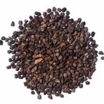 Natural Cardamom Seeds