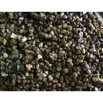 Cardamom Seeds