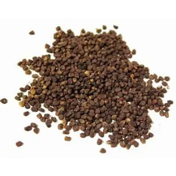 Cardamom Seeds
