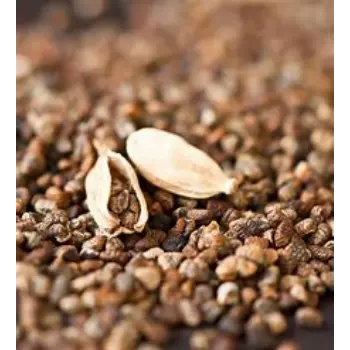 Cardamom Seeds