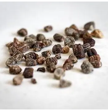 Fresh Cardamom Seeds