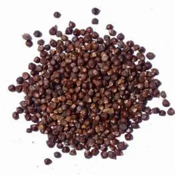 Fresh Cardamom Seeds