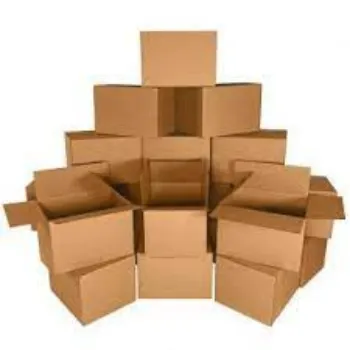  Cardboard Box